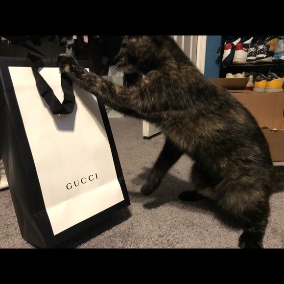 Meet your Posher, Davie - Picture 2 of 3